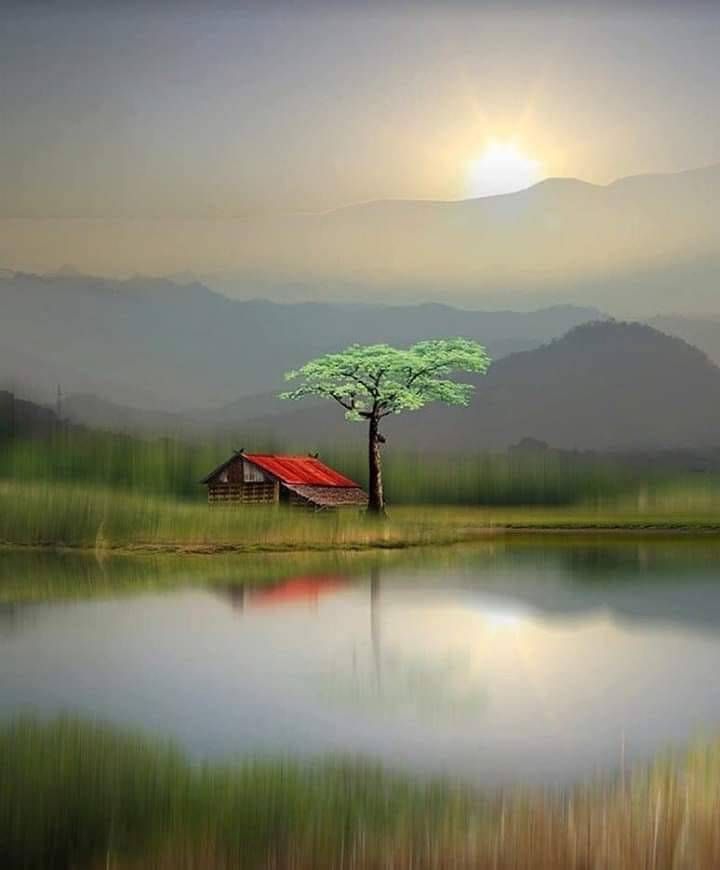 paisagem