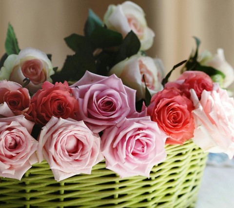 roses