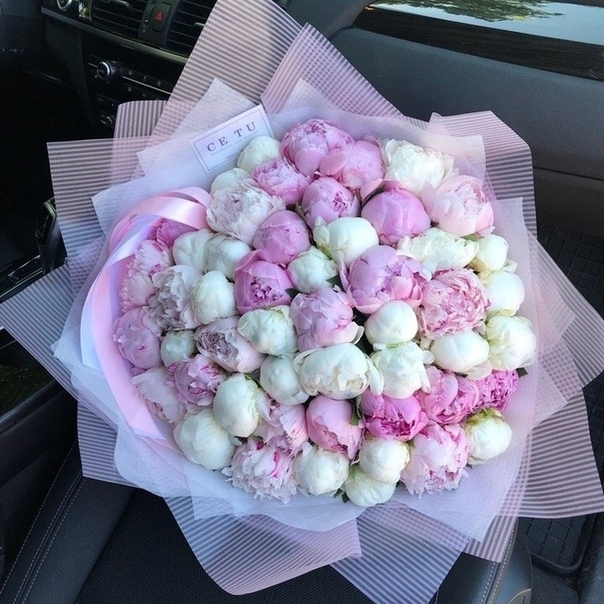 Peonies