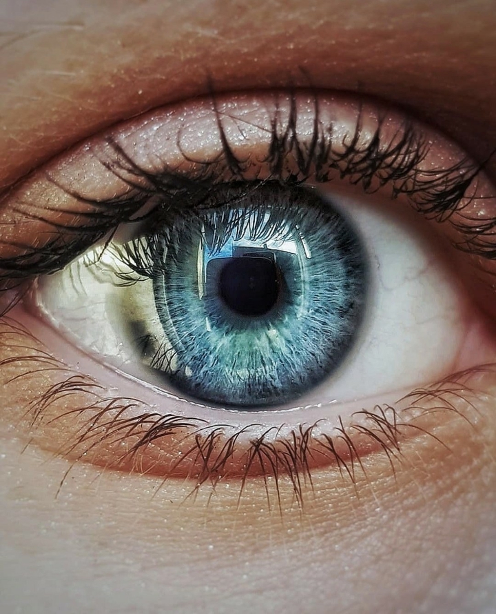 eye
