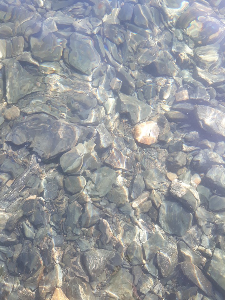 вода в озере