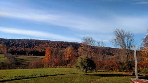 early fall