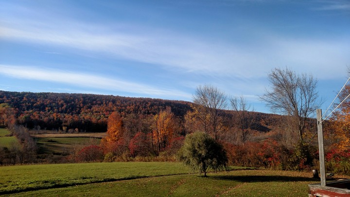 early fall