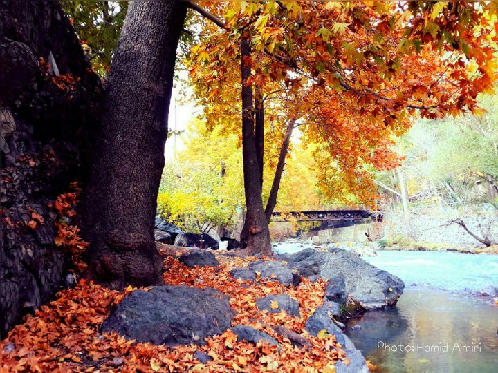autumn
