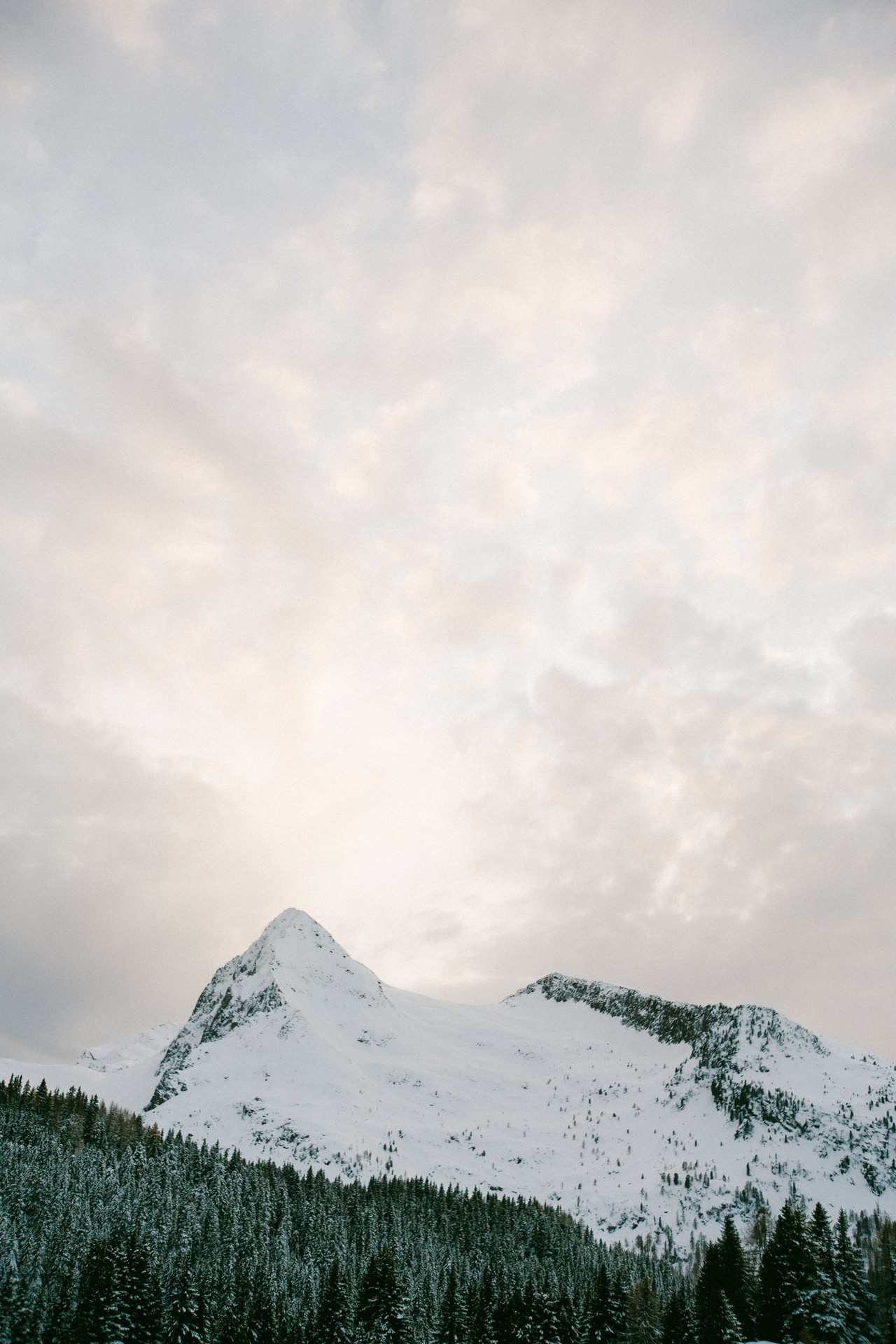 highland, snow Hintergrundbilder