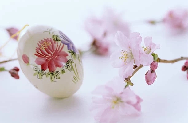 Romantic Spring blossoms