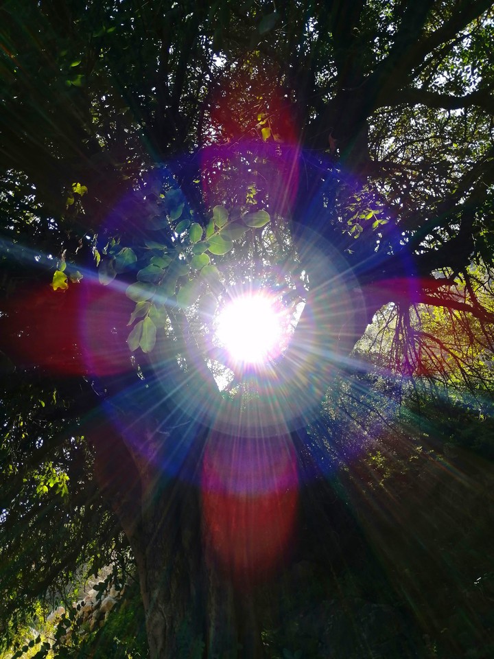 Sunshine