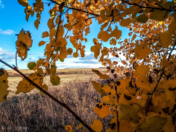 autumn
