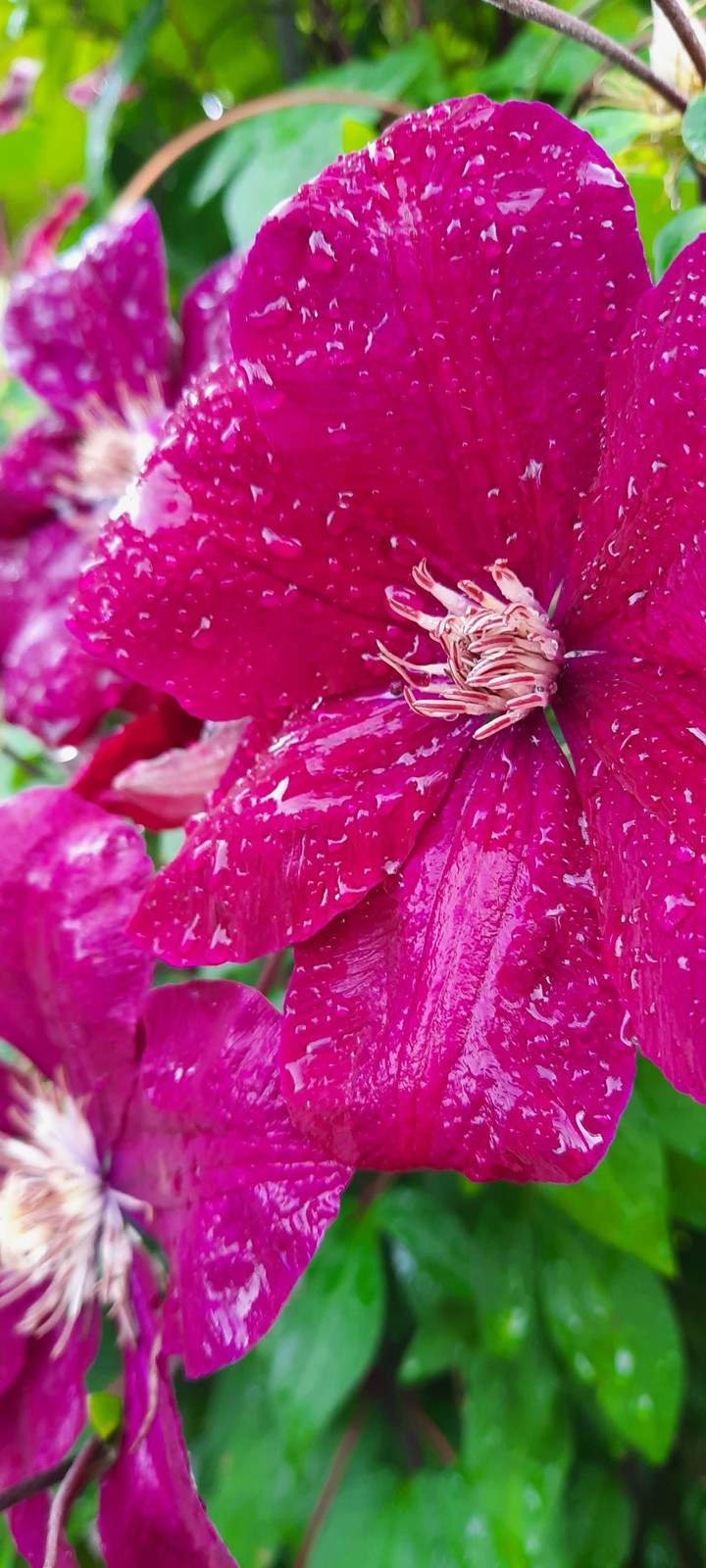 after rain