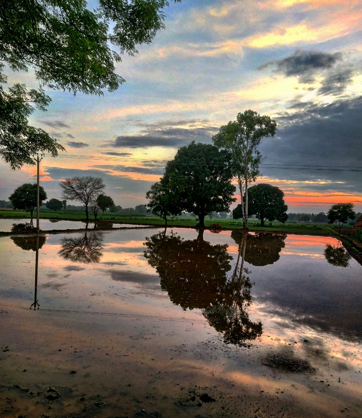 After rain
