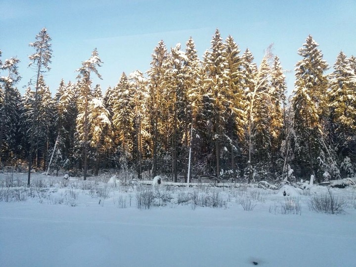 winter