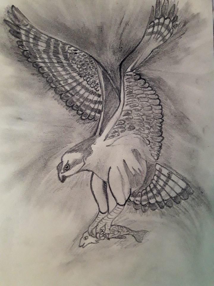 THE TALONS