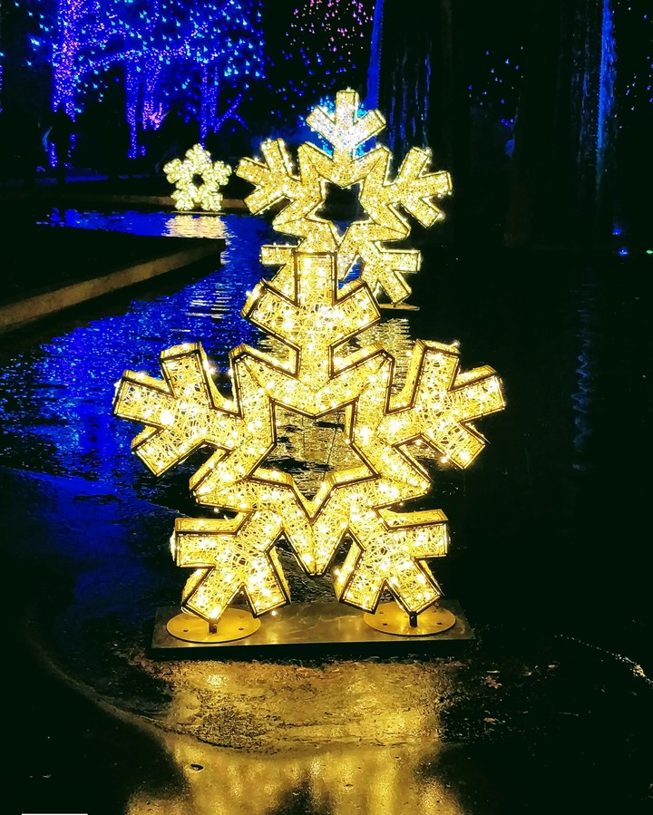 lights
