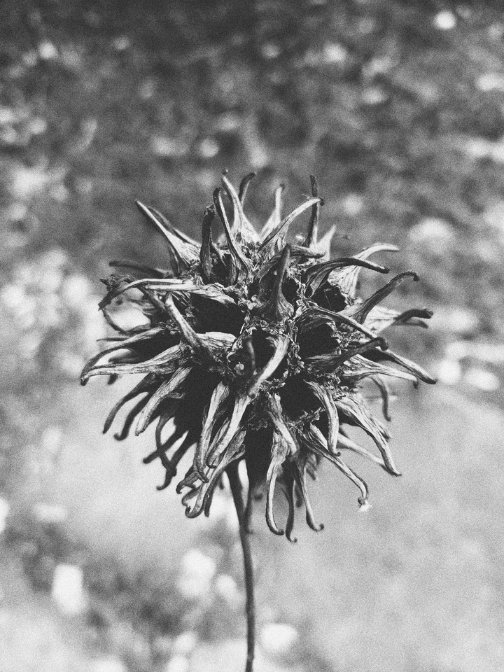 Black And White