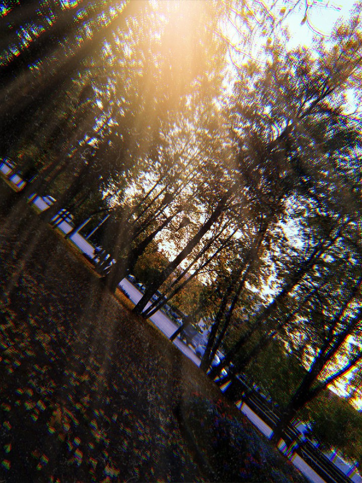 осень в городе