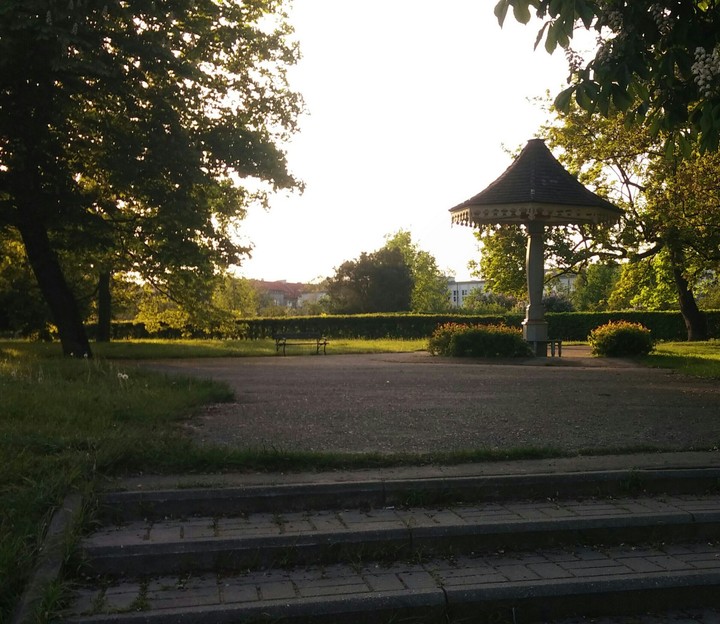 At the park