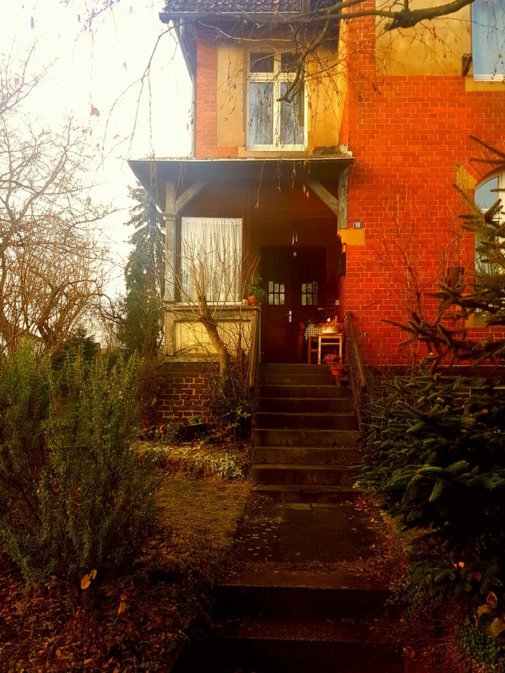 autumn garden
