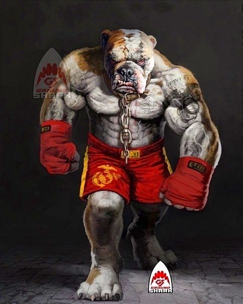 dog