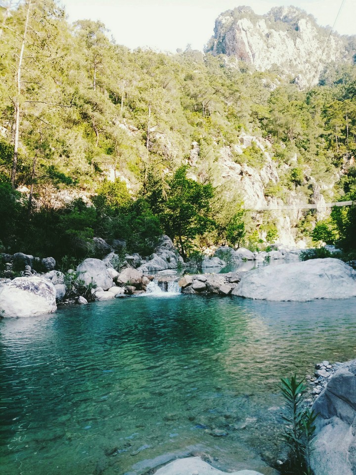 nature
