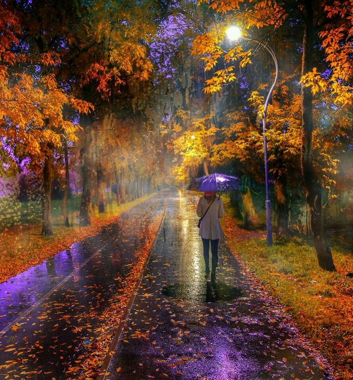 دلگیرم از نگاهت من می روم از اینجا