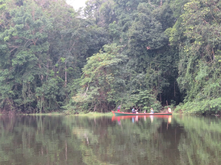 Río Amazonas Colombia