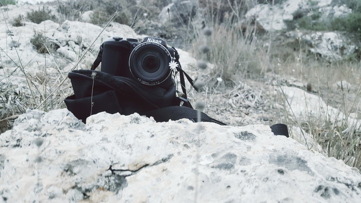nikon camera nature