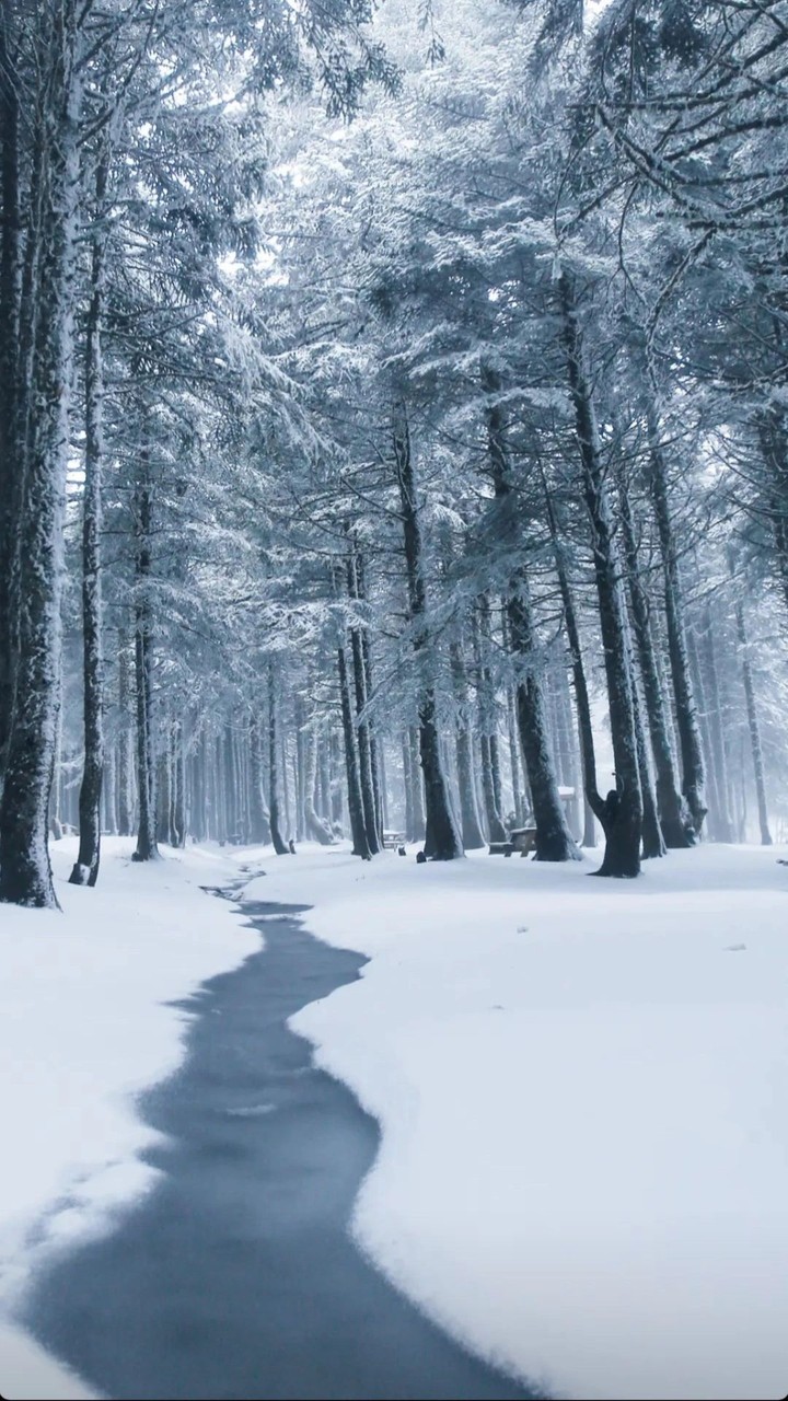 a snowy day
