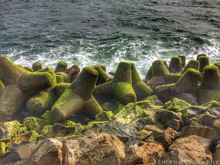 Beach Edge