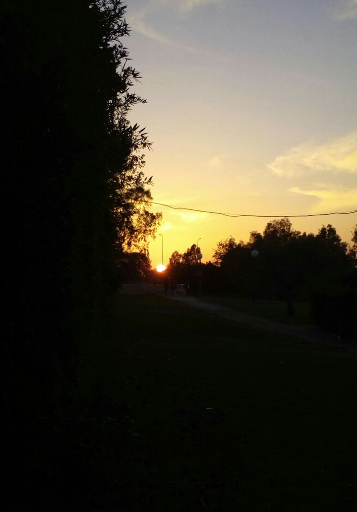 Beautiful evening