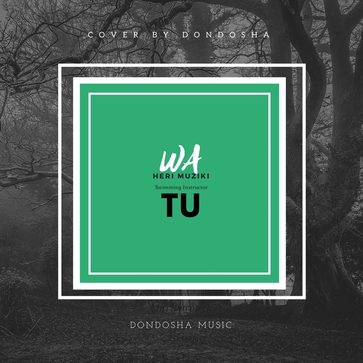 music cover