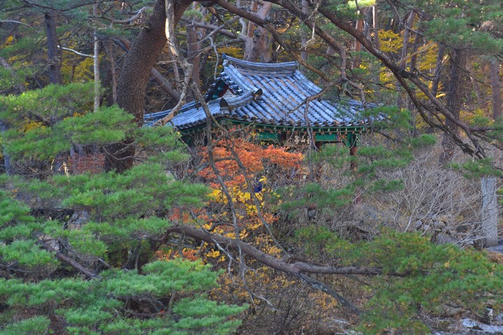 산이미지
