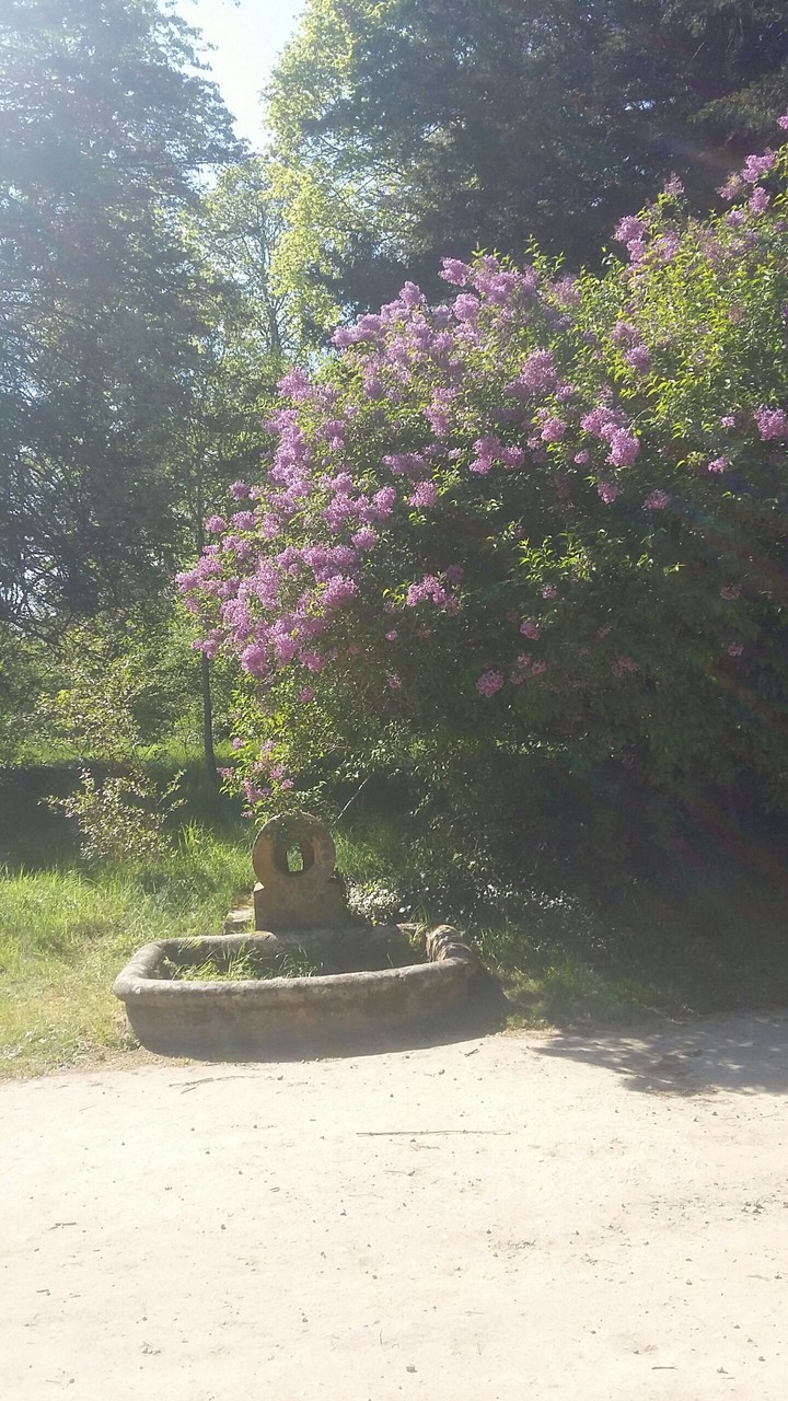Compiègne, France