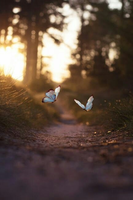 Good Morning...