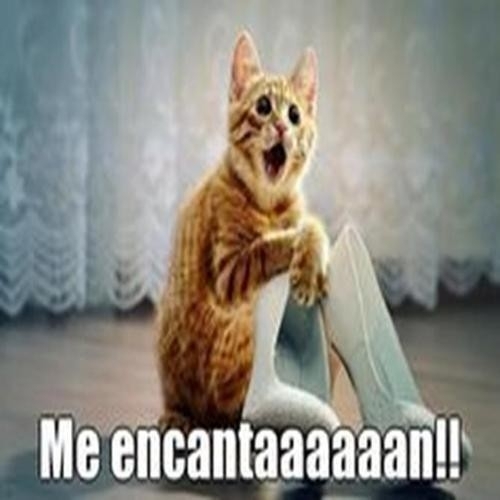 jajaja