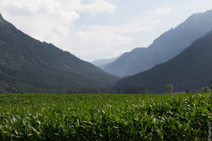Trentino mountain