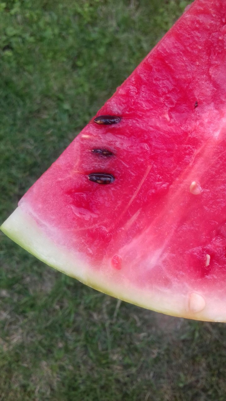 Watermalon