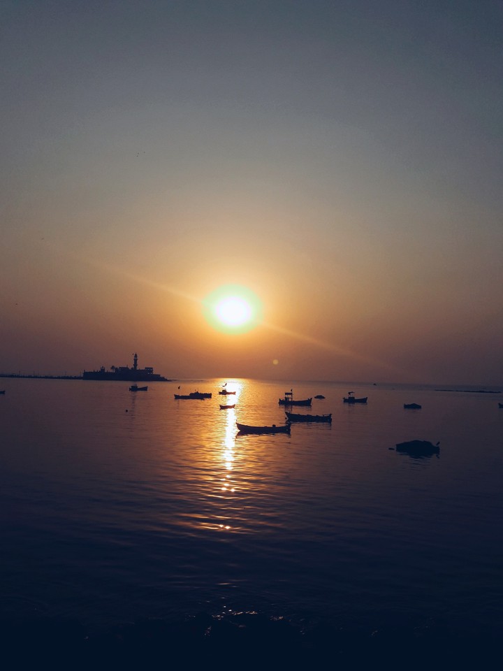 seaface