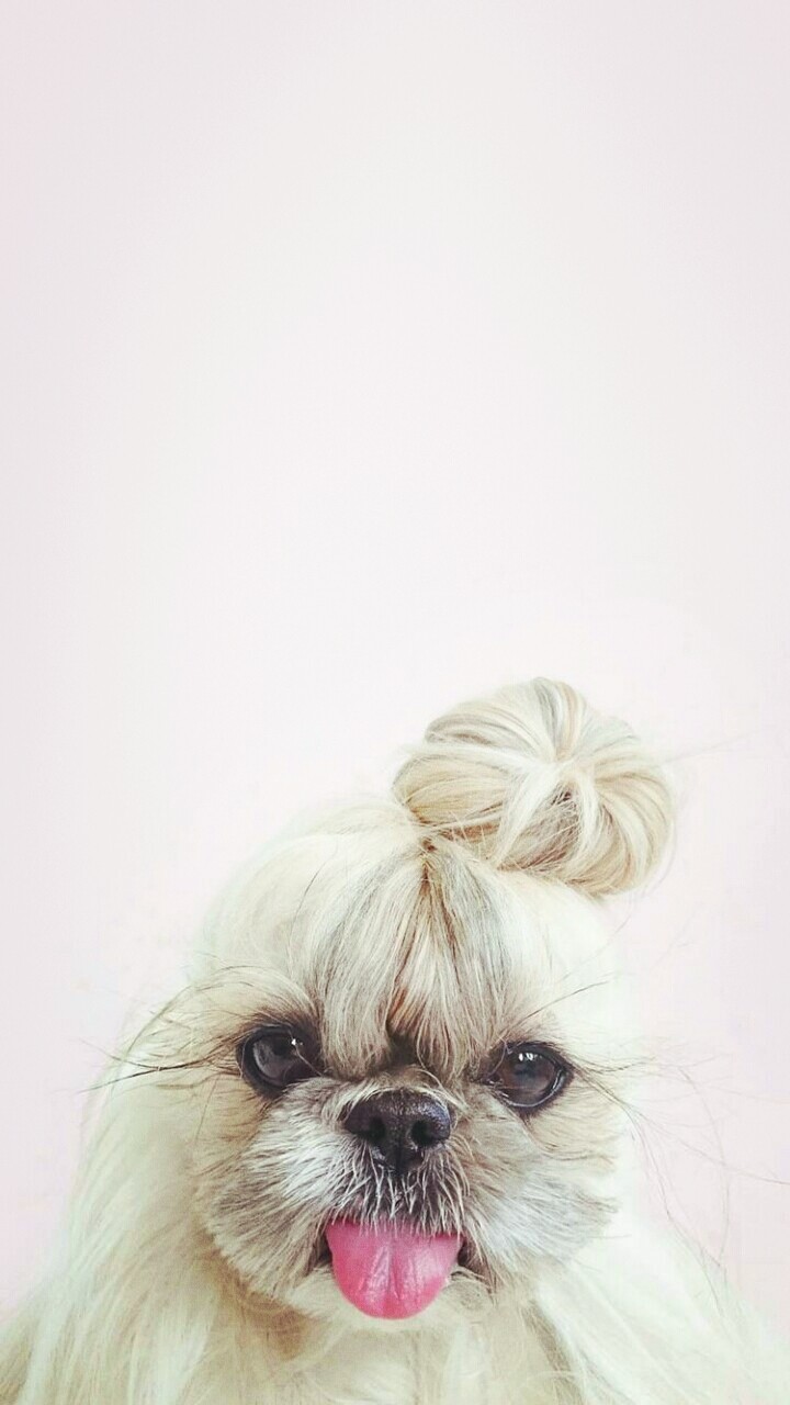 Милота...