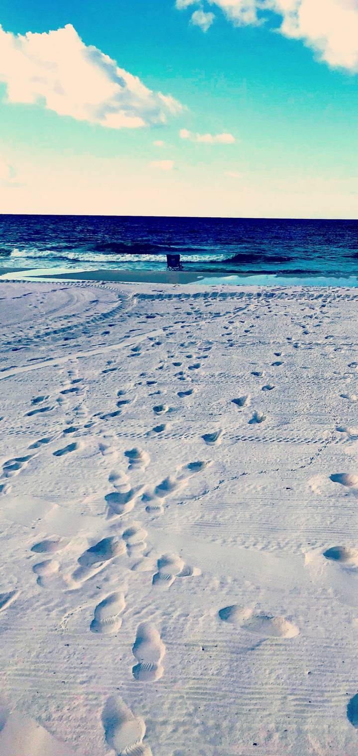 sea