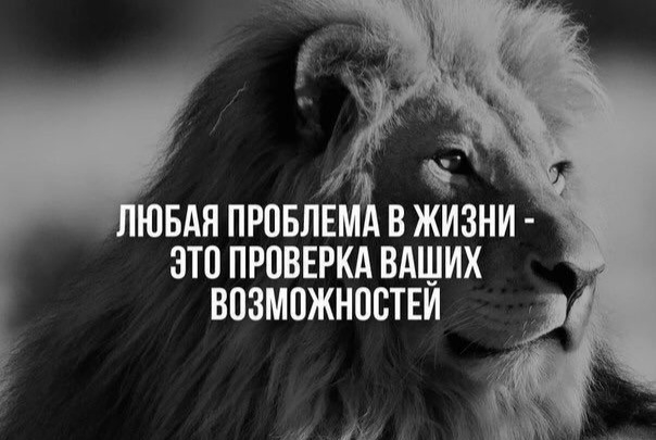слова