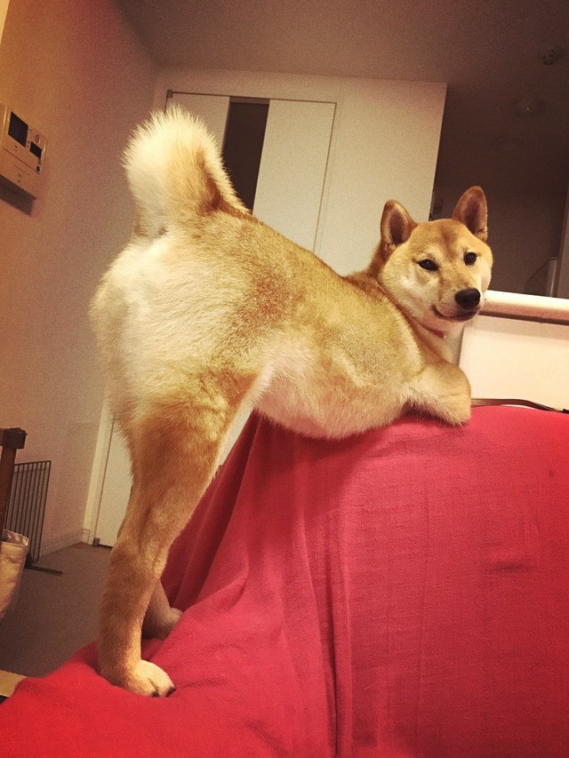sexy