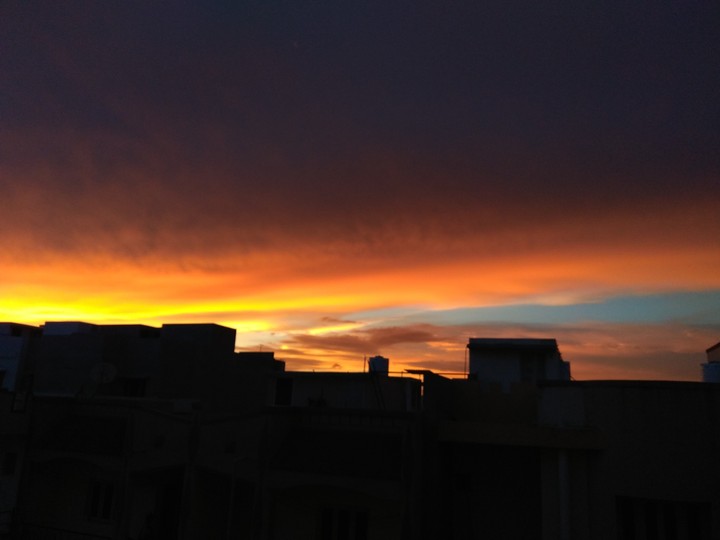 Color of nature.
