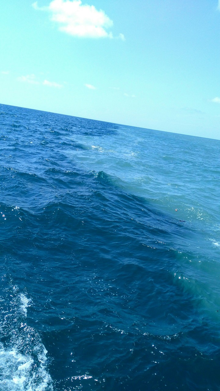 Sea