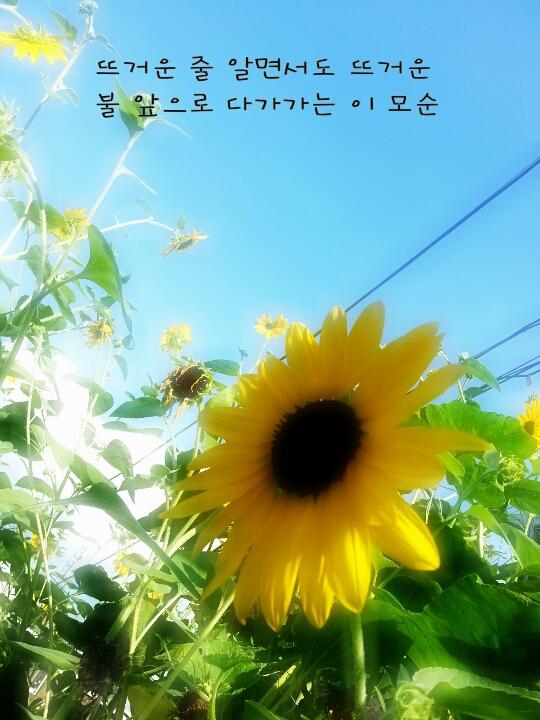 사랑