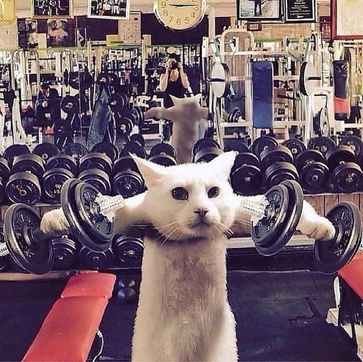 TAKE IT FAST im destroying!?