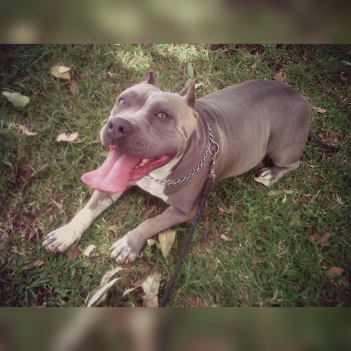 Yuma