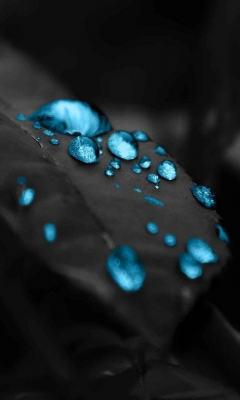 blue