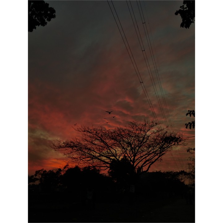 afternoon  follow me on insta @__s.u.d.i.p.t.o