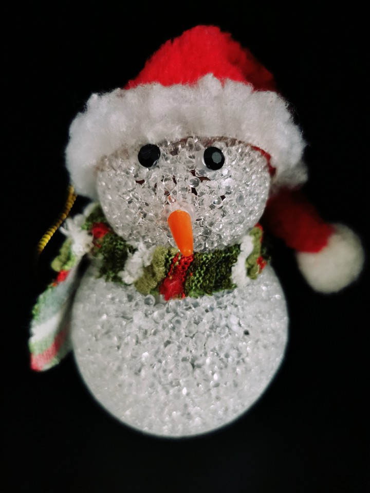 hiver Noël bonhomme de neige