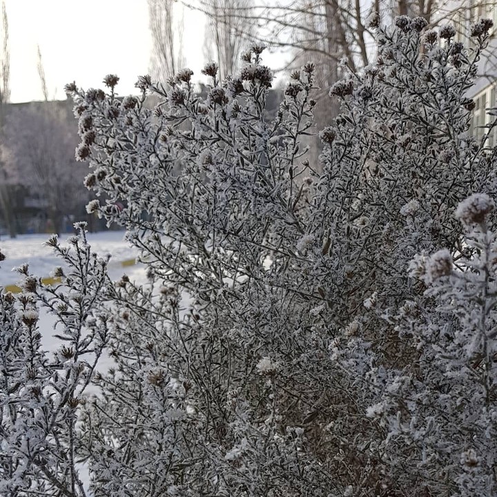 зима